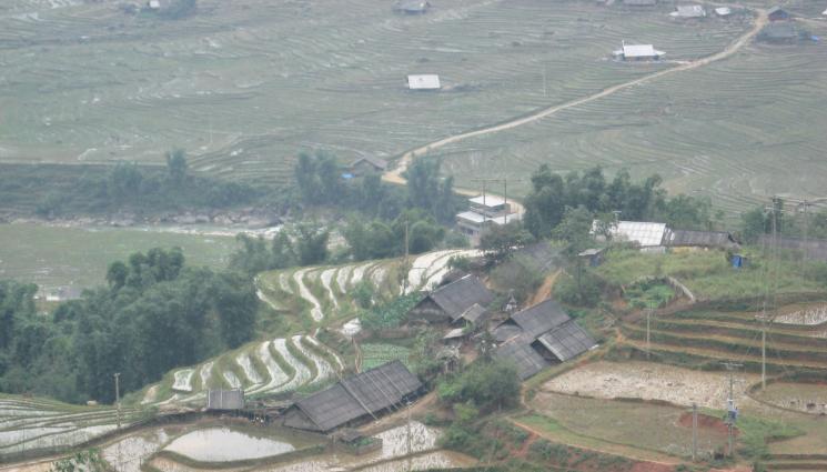 оризови полета виетнам - Агро телеграф: Индия забрани износа на бял ориз