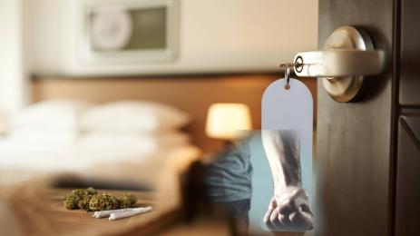 хотеска стая трева бой