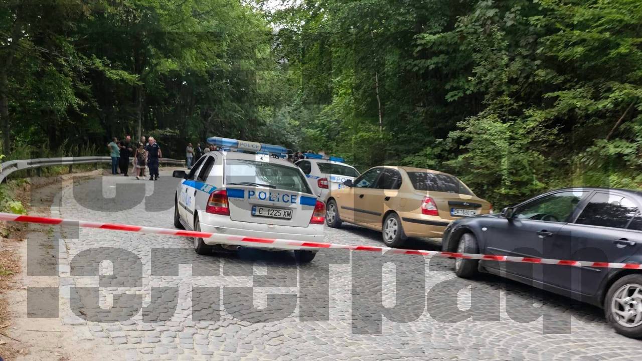 Алексей Петров