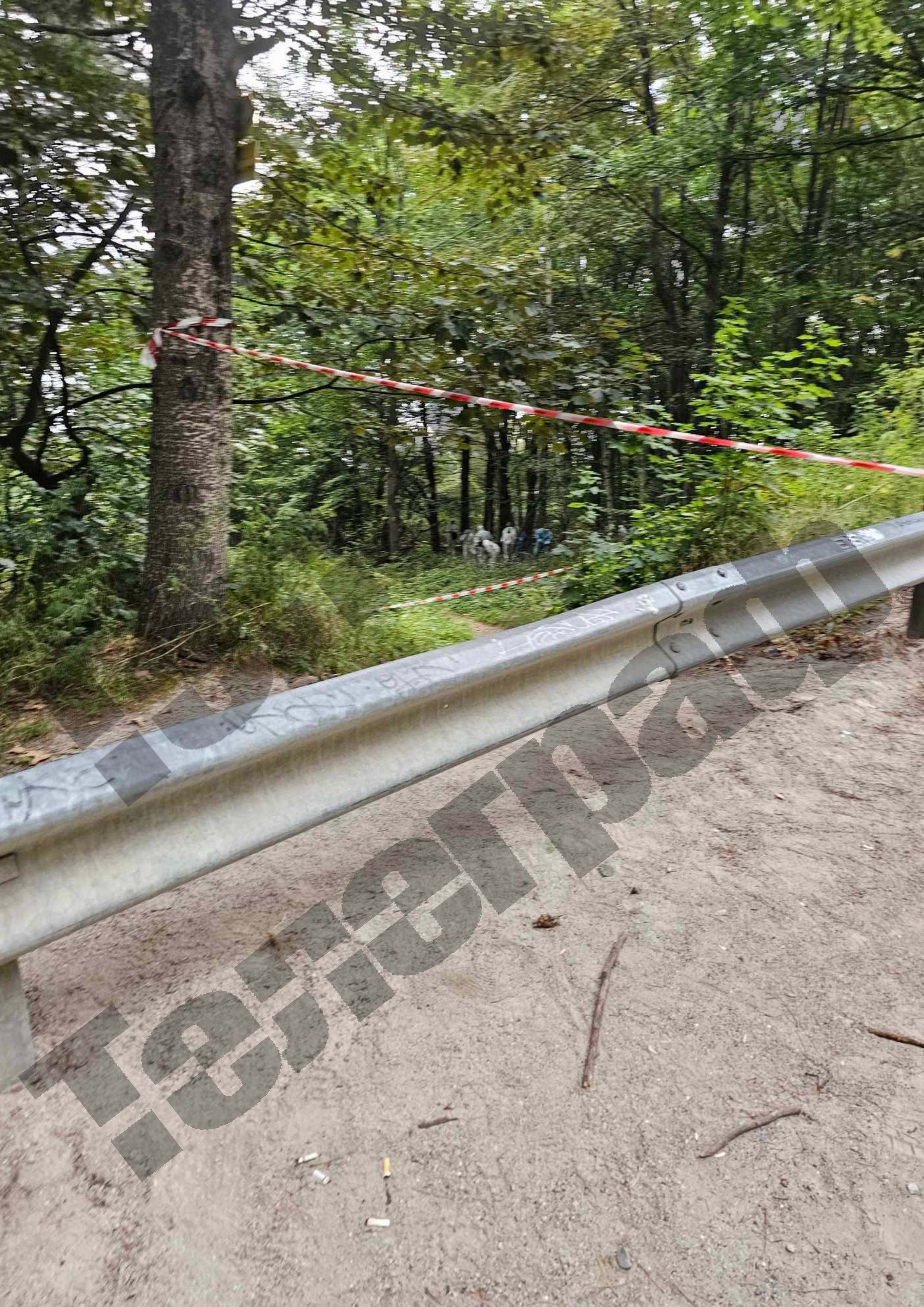 Алексей Петров