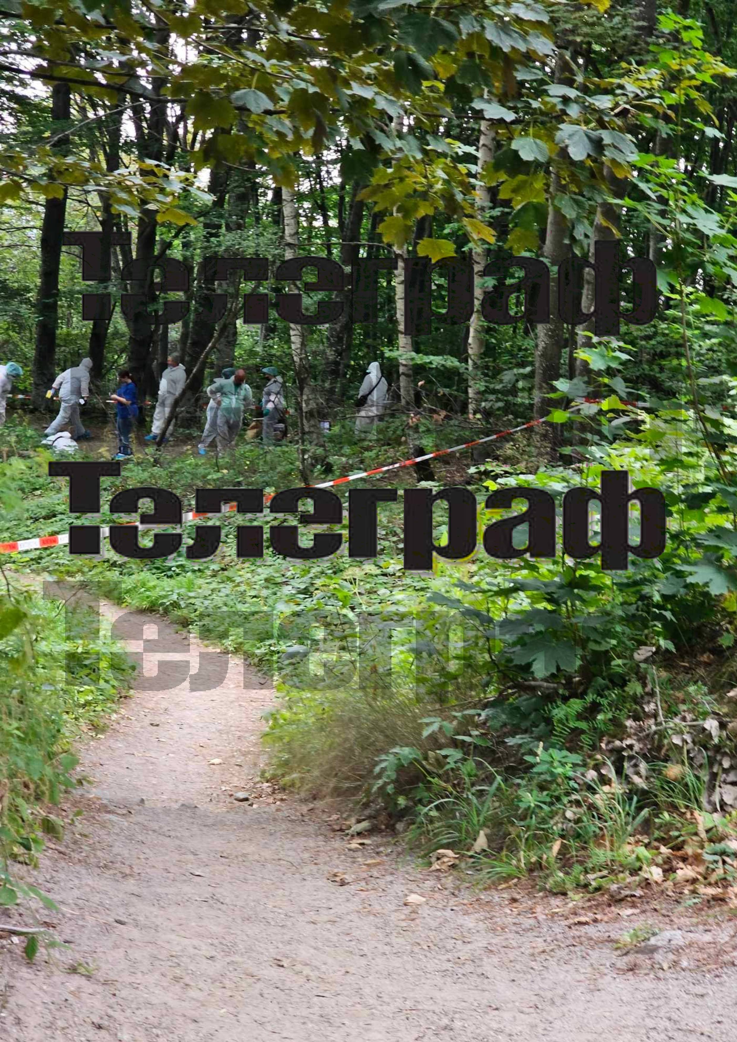 Алексей Петров