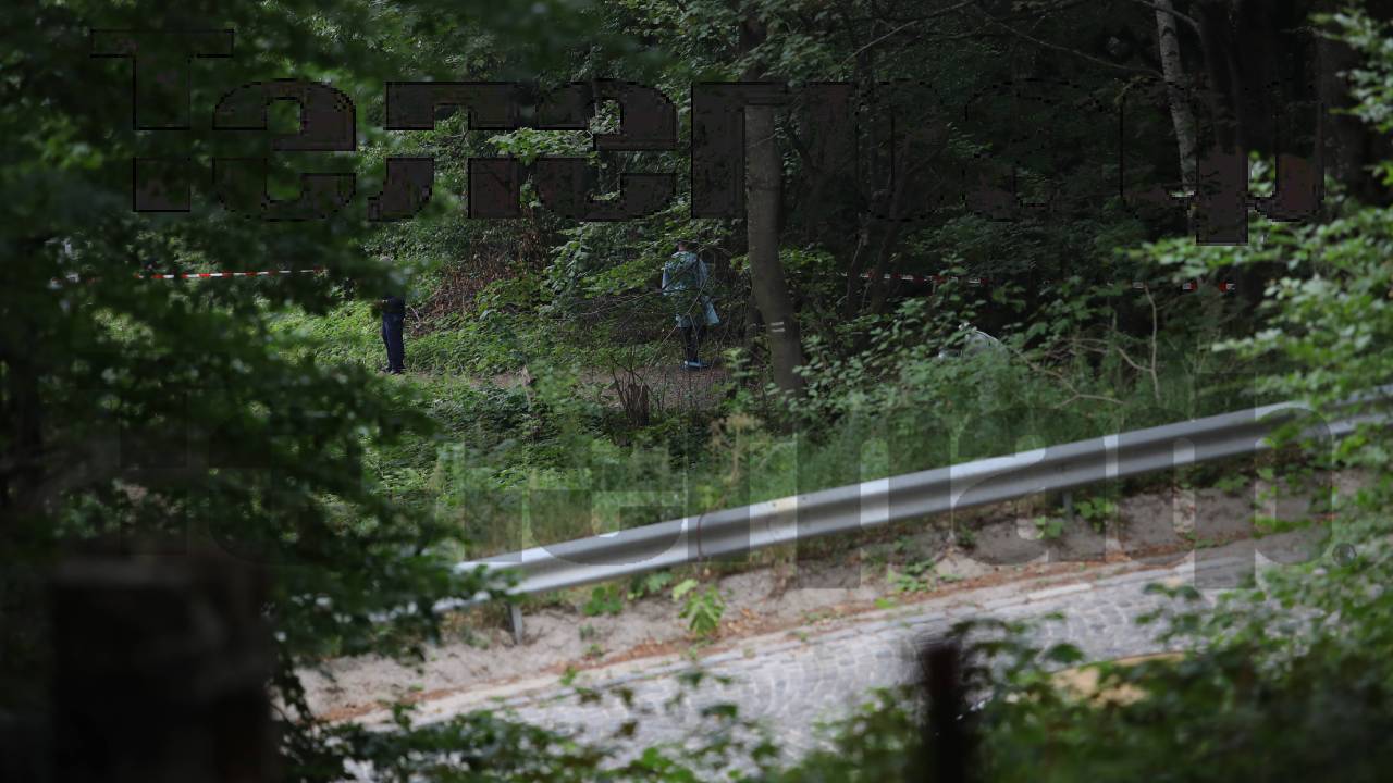 Алексей Петров