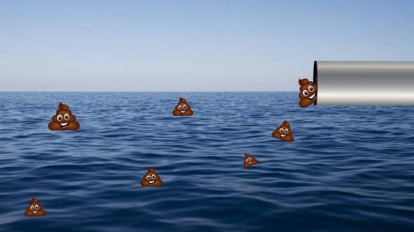 море фекалии