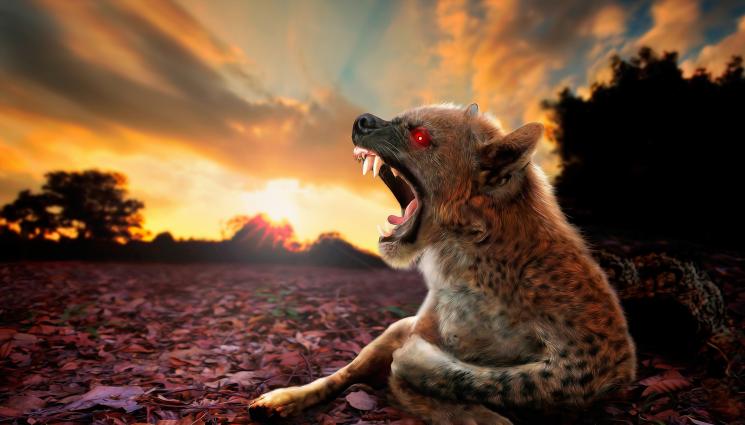 чупакабра - ПЪЛЕН ШАШ: Чупакабра се появи в двора на къща (СНИМКА)