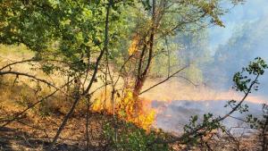 Пожарникари гасиха пожари в Шуменско в жилища и сухи треви