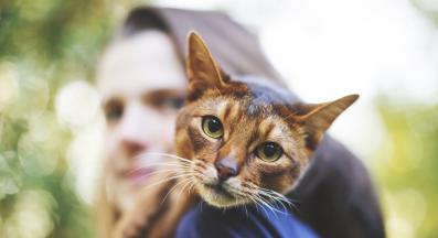 котка и стопанка