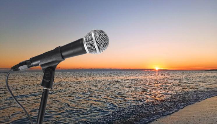 п - ОТПУСКАРИ: Фолкът под наем на Слънчака (СНИМКИ)