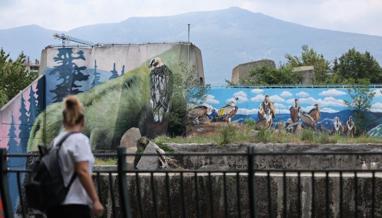 зоопарк - НОВА ИЗМАМА: Фалшив профил на зоопарка в София раздава награди