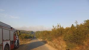 Потушени са пожарите в района на средецките села Кубадин и