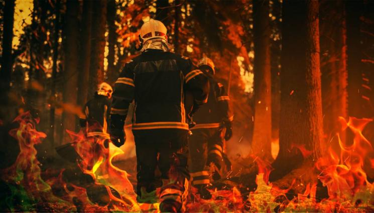 пожар - Овладян е големият пожар в Сакар, стихията изпепели 10 000 декара