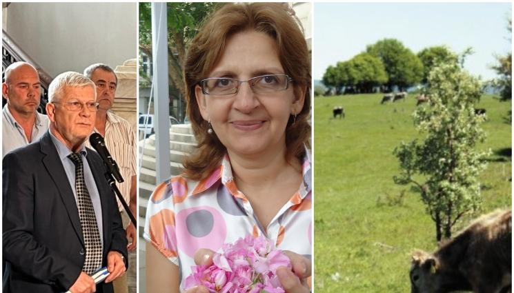 нива - Агро Телеграф: 1,600 млн. дка ниви с неизвестни стопани