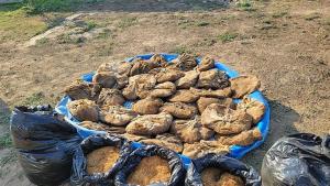 Неутрализирана е международна организирана престъпна група занимавала се с контрабанда