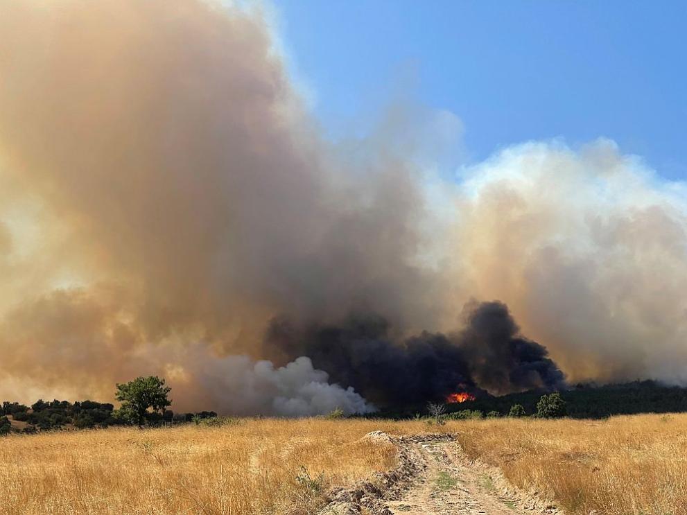 Военнослужещи и хеликоптер AS 532 AL Cougar от 24-та авиационна