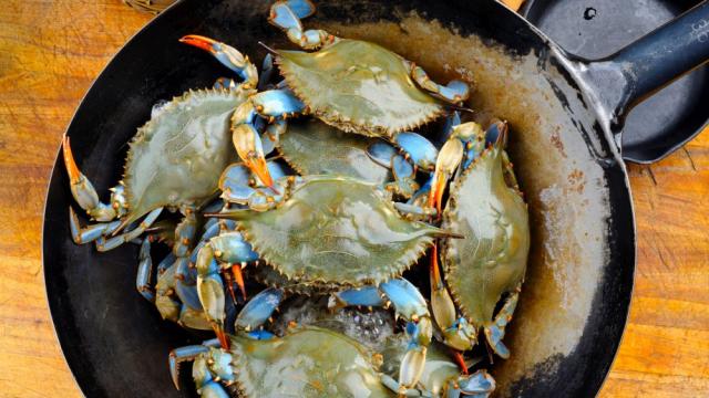 Италия включи хищен морски рак в менютата на множество ресторанти