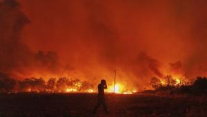 Десетки огромни пожари отново горят в Гърция Накъдето и да