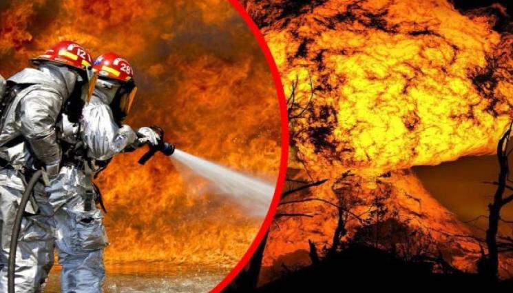 ПОГЖАР - УЖАС! 26 души изгоряха живи в горски пожар! (СНИМКИ+ВИДЕО)