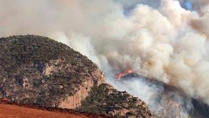Горските пожари край гръцкия град Александруполис отнеха живота на още