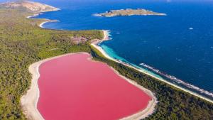 Зад розовия цвят на тези езера има научно обяснение Водораслите