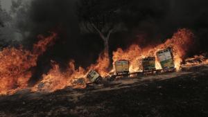 Големият пожар който избухна в гориста местност в Гърция в