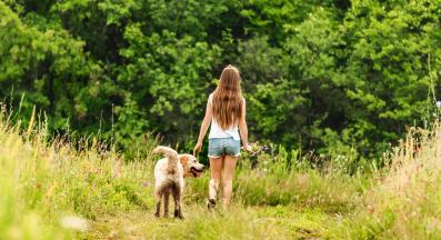 куче разходка гора