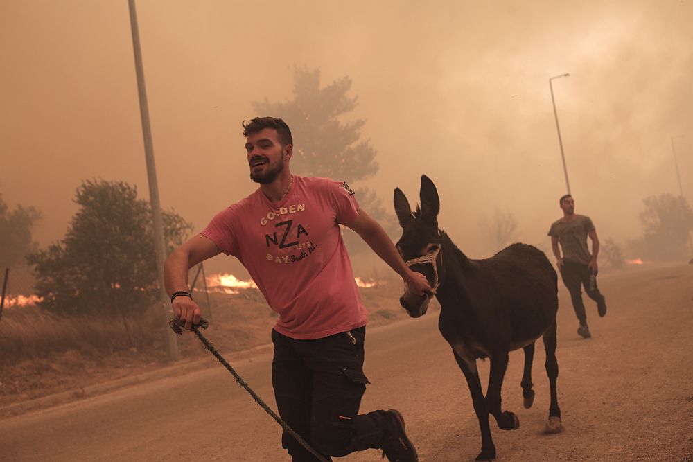 Големите пожари в Гърция