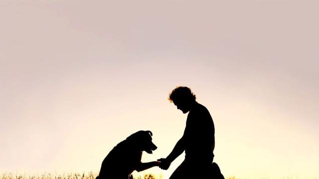 Да обиколиш света пеша за 7 години: Невероятната история на Том и кучето му Савана (СНИМКИ) 