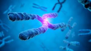 Учени направиха важна крачка напред в разбирането на човешкия геном