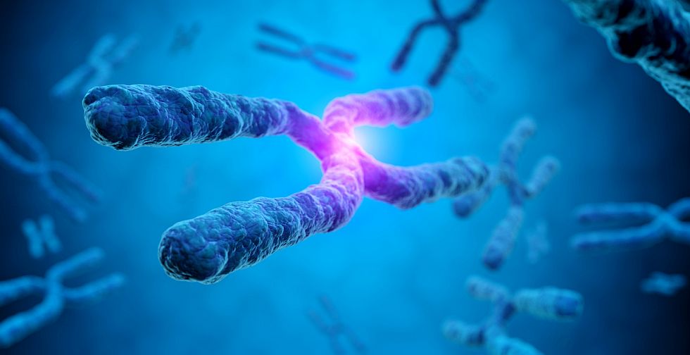 Учени направиха важна крачка напред в разбирането на човешкия геном