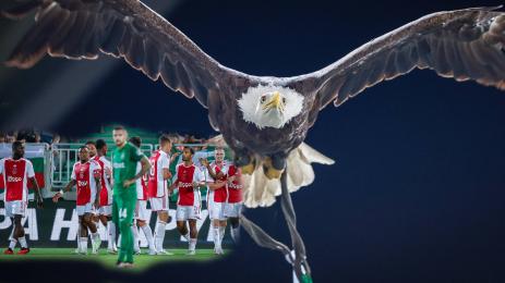 орлица Лудогорец Аякс