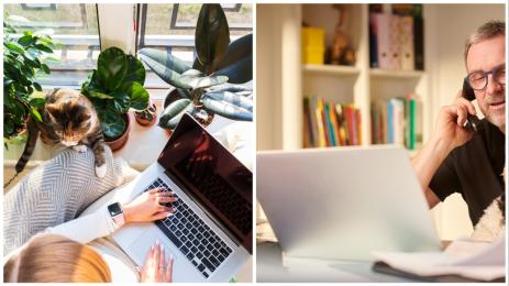 дистанционна работа хоум офис работа от вкъщи