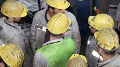 мини миньор работа работник