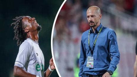 Вини Трибуле