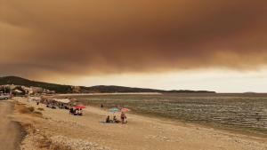 След мащабните пожари през това лято в Гърция налагат по тежки