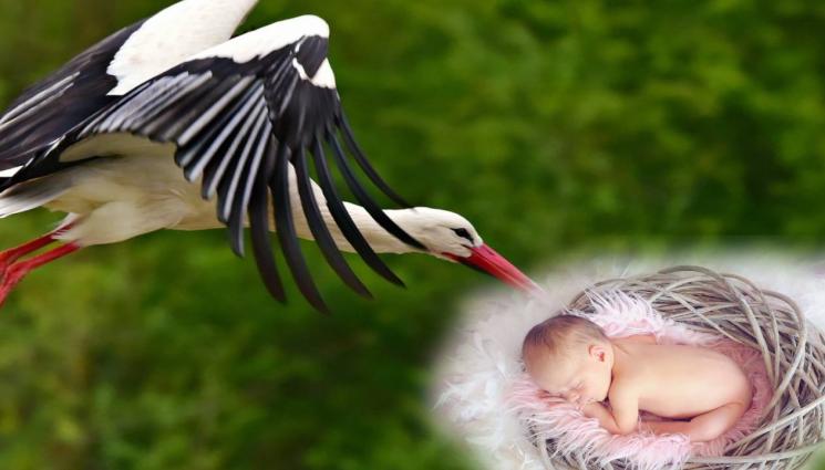 бебе - ЗВЕЗДЕН ЩЪРКЕЛ: Известен наш водещ чака бебе! (СНИМКА+ВИДЕО)