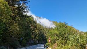 Голям пожар избухна в Смолянско съобщиха от Южноцентрално държавно предприятие Сигналът