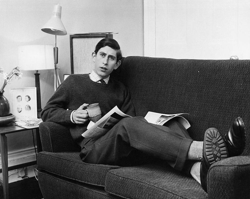 Гмуркане до отломките на потънали кораби, рисуване сред красивите пейзажи