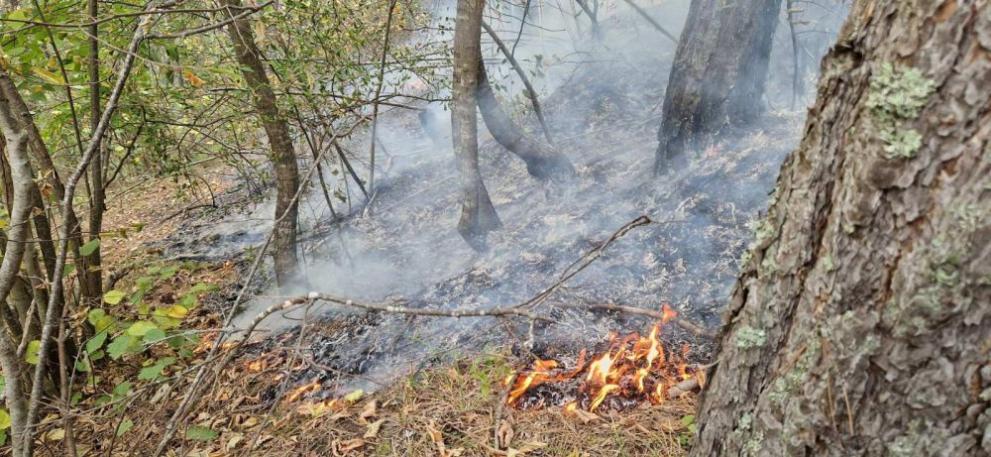 Трети ден продължава битката с големия горски пожар край чепеларското