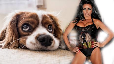 Кейти Прайс