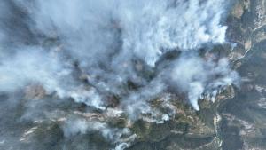 Пожарът над село Хвойна се разраства съобщиха от Община Чепеларе
