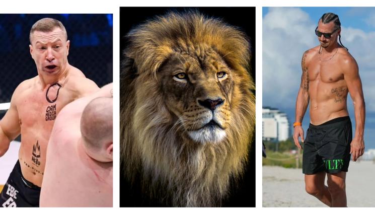 Дариуш Казмиерчук Златан Ибрахимович - Искат да бият Златан заради лъв