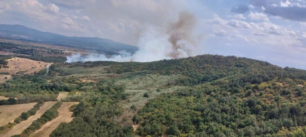 31 военнослужещи с пет броя техника от 61-ва Стрямска механизирана