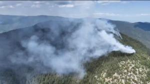Нов голям горски пожар избухна в Смолянско съобщиха от Южноцентрално държавно
