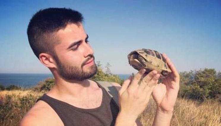 костенурки - Как да спасим костенурка, ако е на пътя или в нетипична за тях среда? (СНИМКИ)