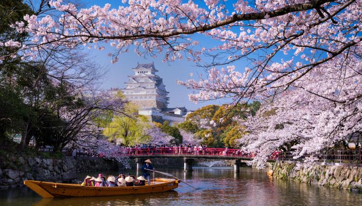 Япония - Япония - страната на самураите: Спазвайте строгите им правила, ако ще пътувате (СНИМКИ)