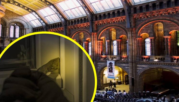 музей - ОГРАБВАТ МУЗЕИ - снимат филми (СНИМКИ+ВИДЕО)