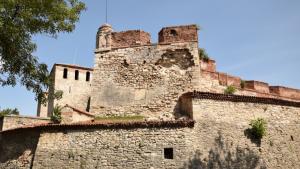 Спряха достъпа до средновековната крепост Баба Вида съобщиха от Обшината