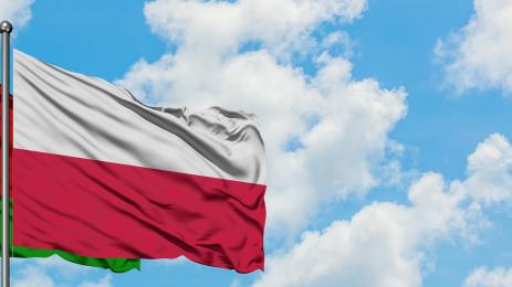 Полша Беларус