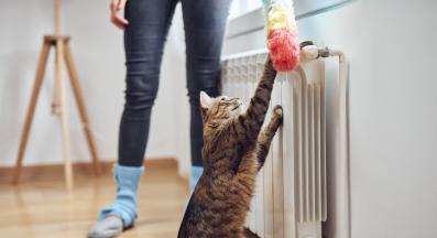 почистване на дома