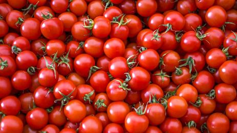 домати