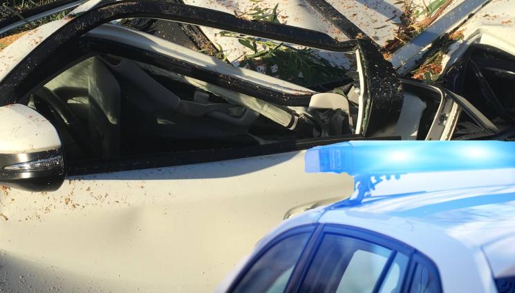 каскада - ЗРЕЛИЩНА КАСКАДА: Кола изхвърча и се заби в двор (СНИМКА)